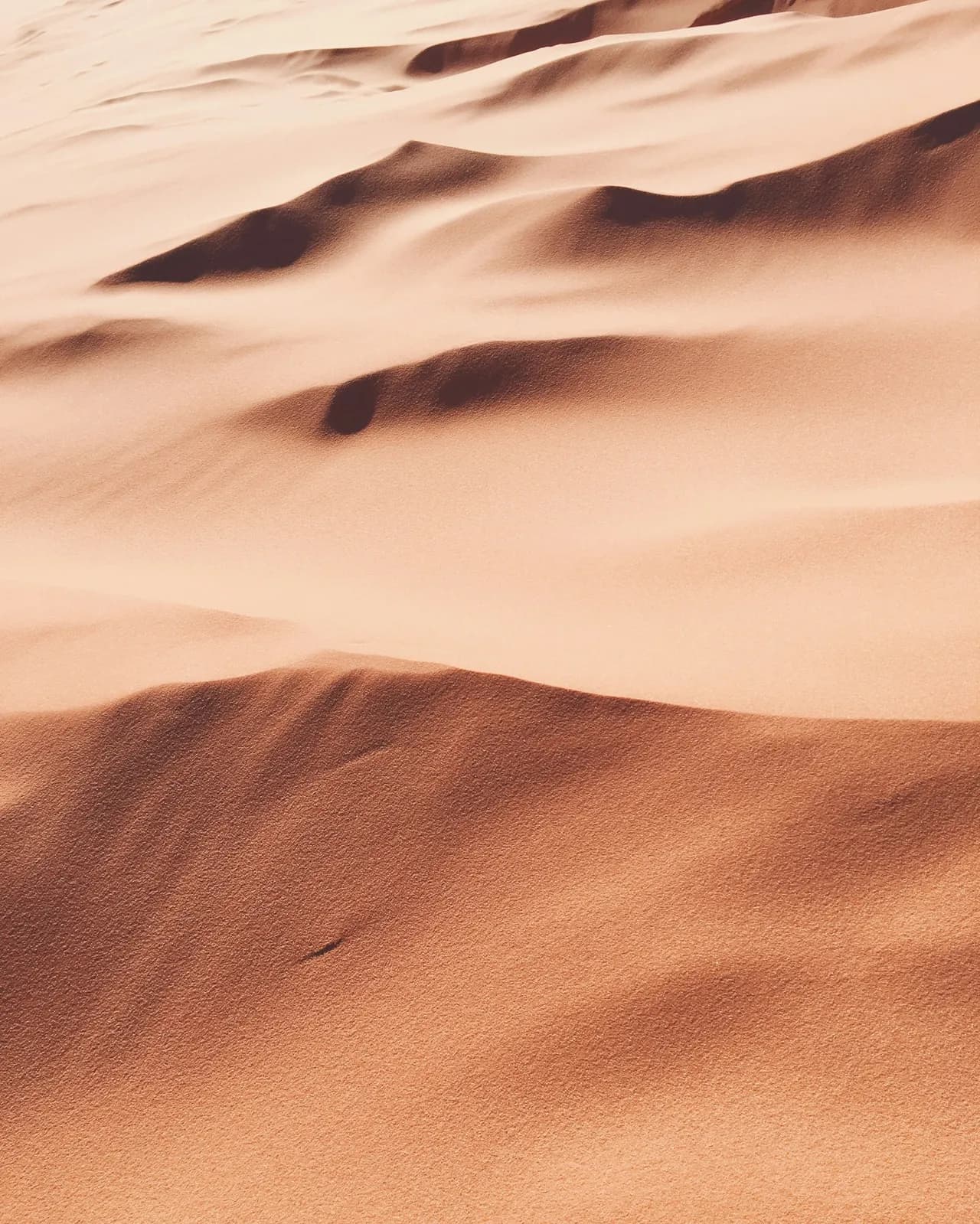 شاهداغ